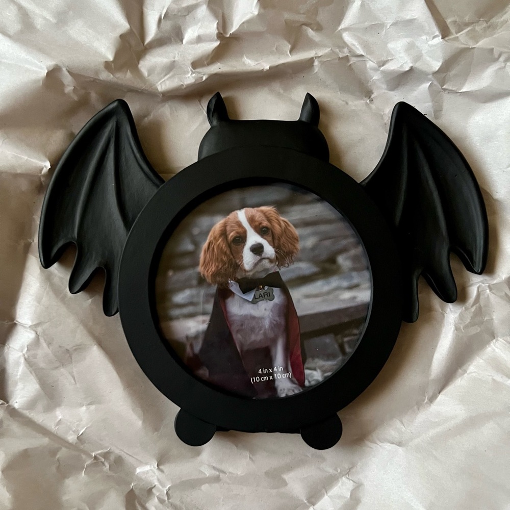 Bat photo frame
